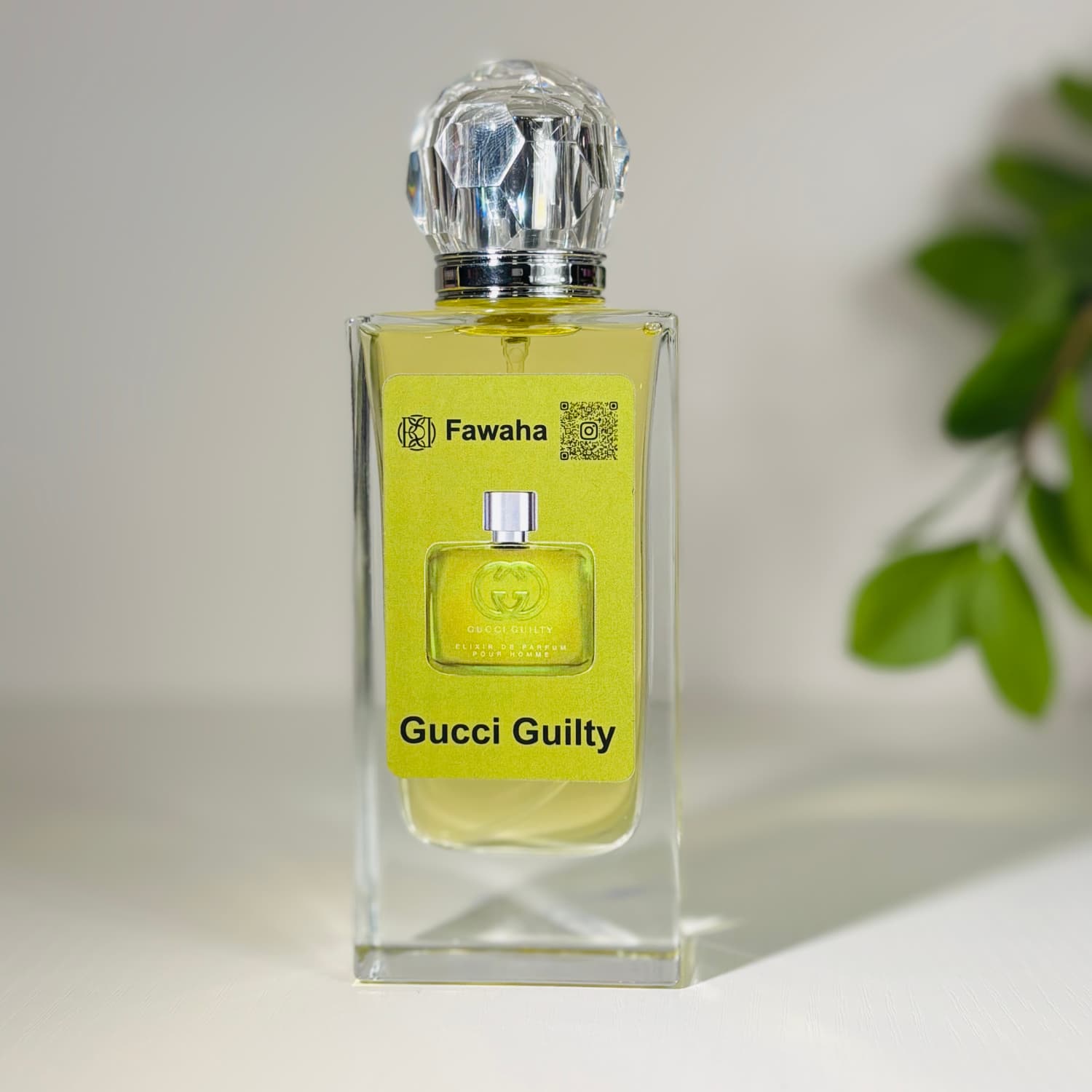 قوتشي الكسير الأخضر