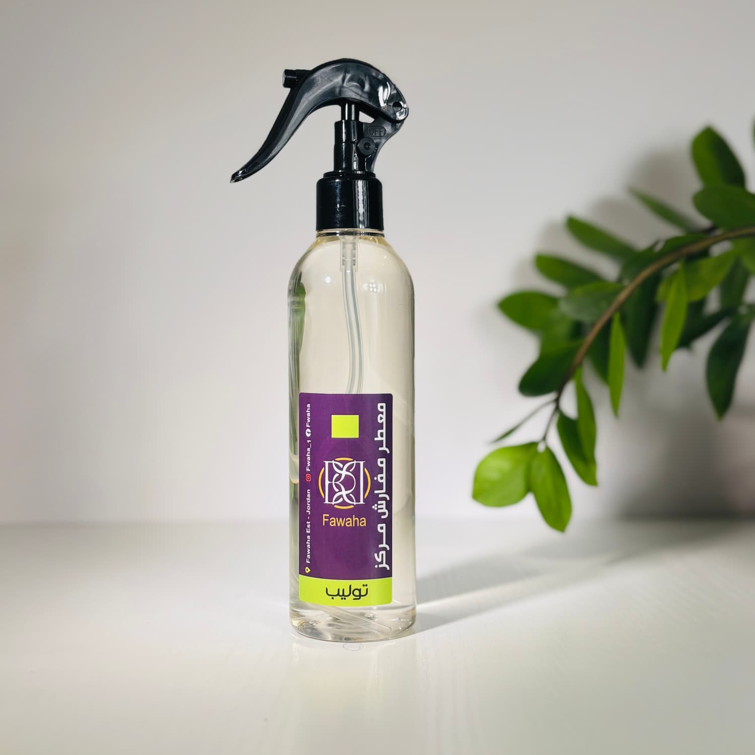 زهرة التوليب