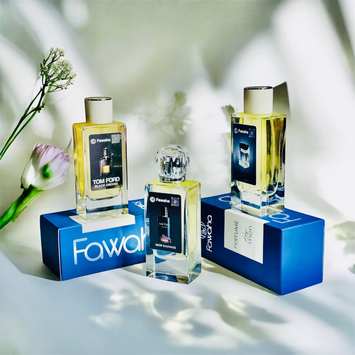 مجموعة العطور الرجالية